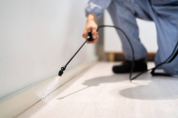 Licensed Termite Control service in McComb, MS - Nex Pest Control
