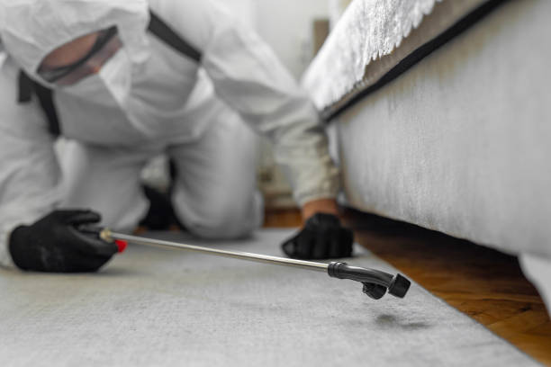 Professional Termite Control technician working in McComb, MS