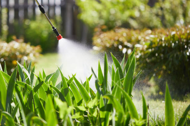 24/7 Emergency Termite Control experts in McComb, MS