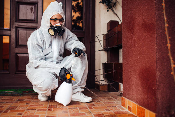 Reliable Termite Control contractor in McComb, MS by Nex Pest Control