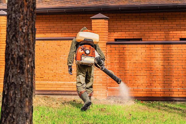 Top rated local Termite Control specialists in McComb, MS